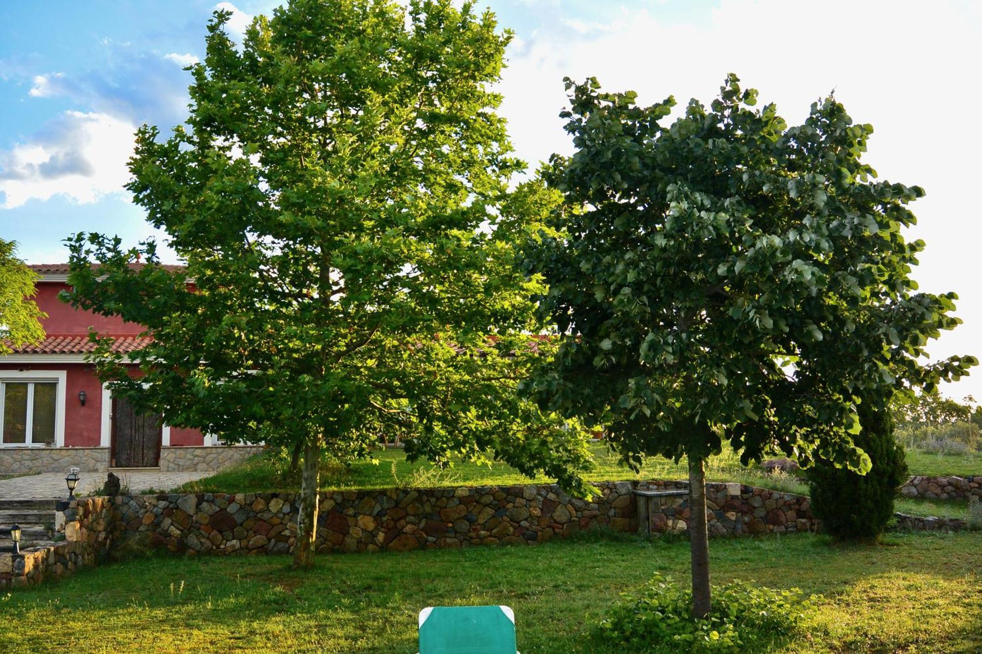 Vilanova de EscornalbouL'Albaida, Tranquility, Views Of Sea And Mountainsアパートメント 部屋 写真