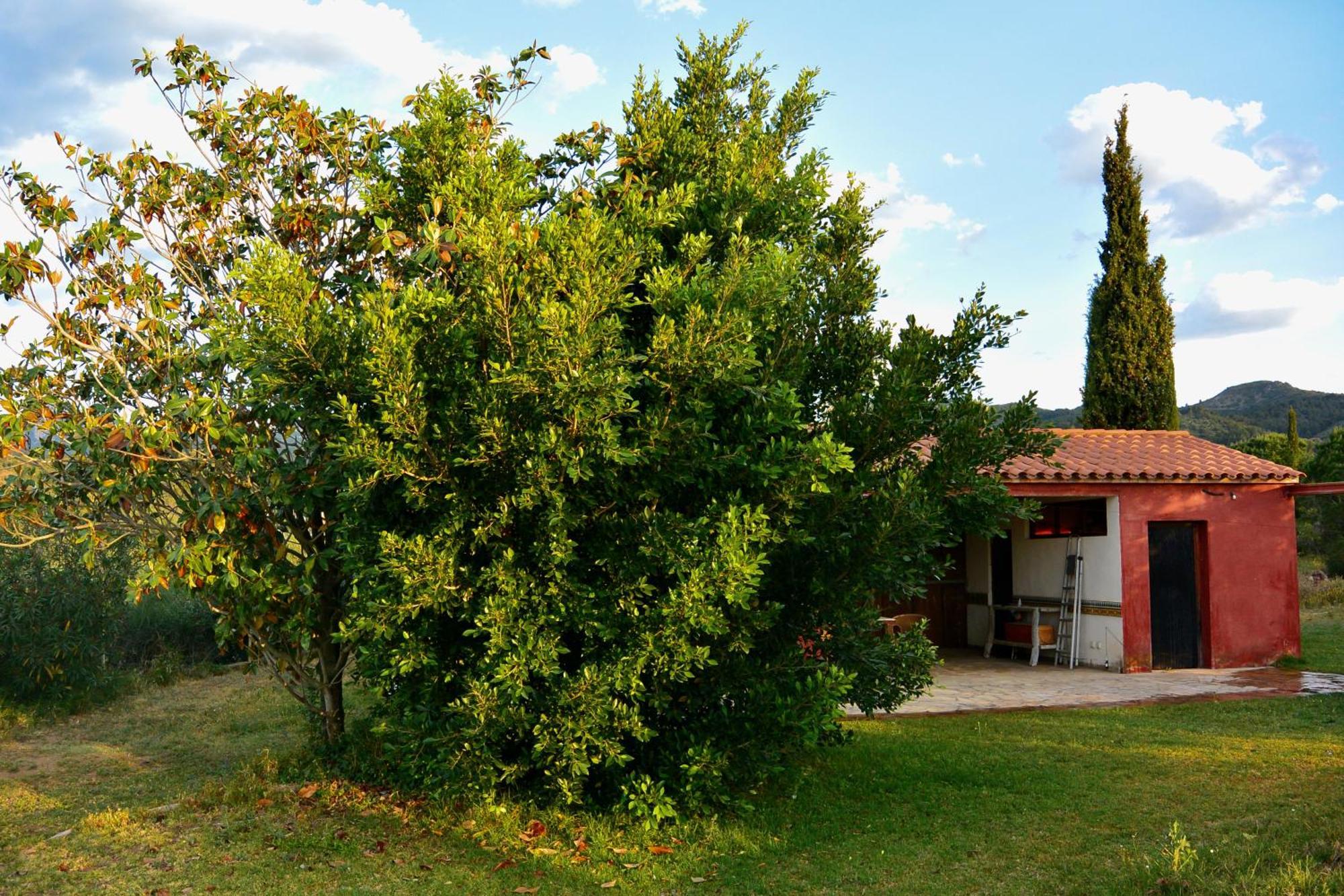 Vilanova de EscornalbouL'Albaida, Tranquility, Views Of Sea And Mountainsアパートメント 部屋 写真